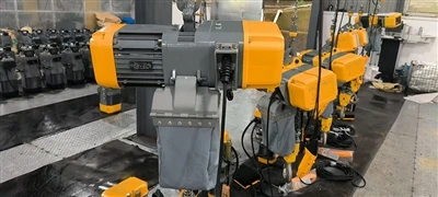 Warum sich dieser deutsche Kunde für unseren europäischen Elektrokettenzug en...